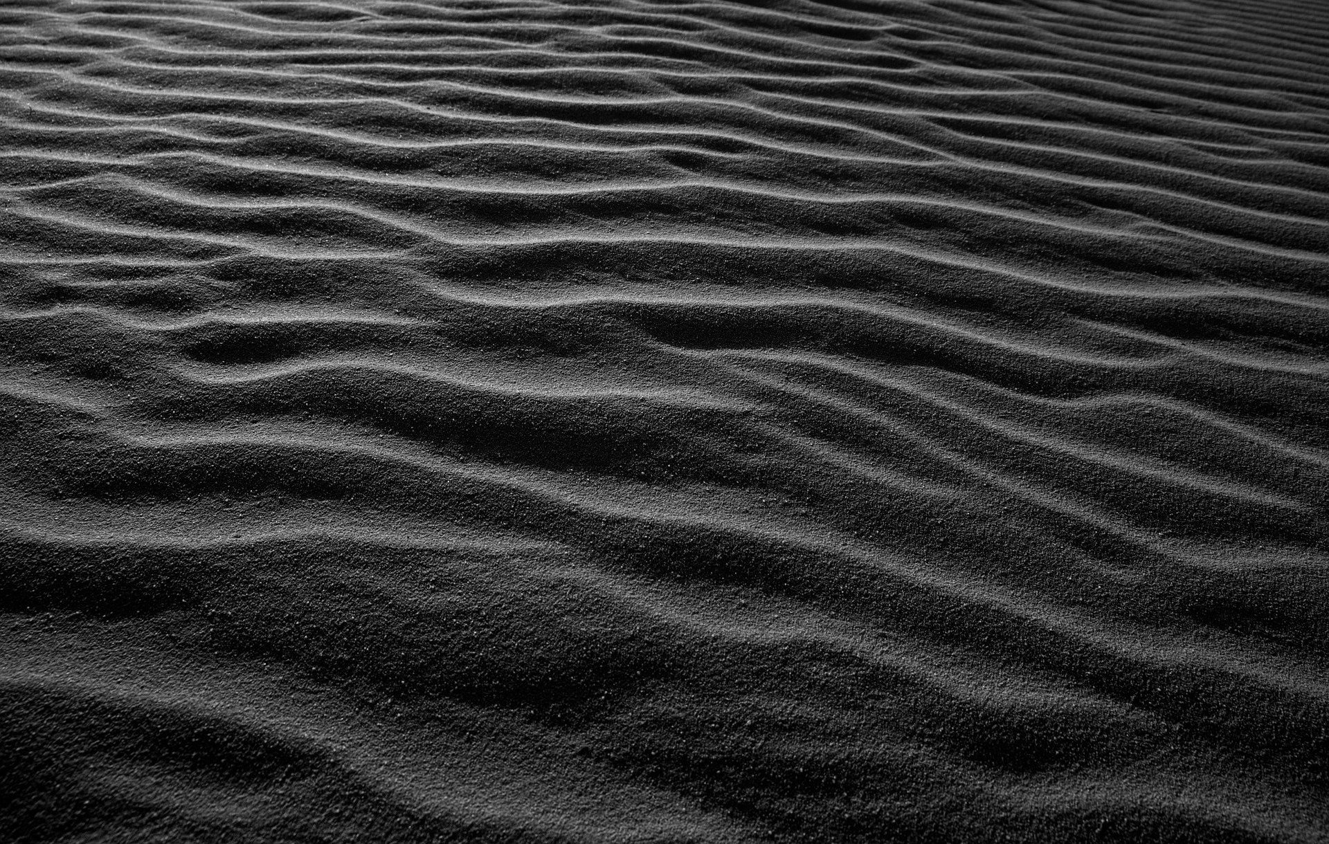 Photo of sanddunes at night. Moonlight reflects off the sand, which appears black.