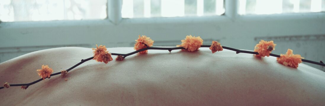 Photograph of a flowering twig lying on a person's bare back.