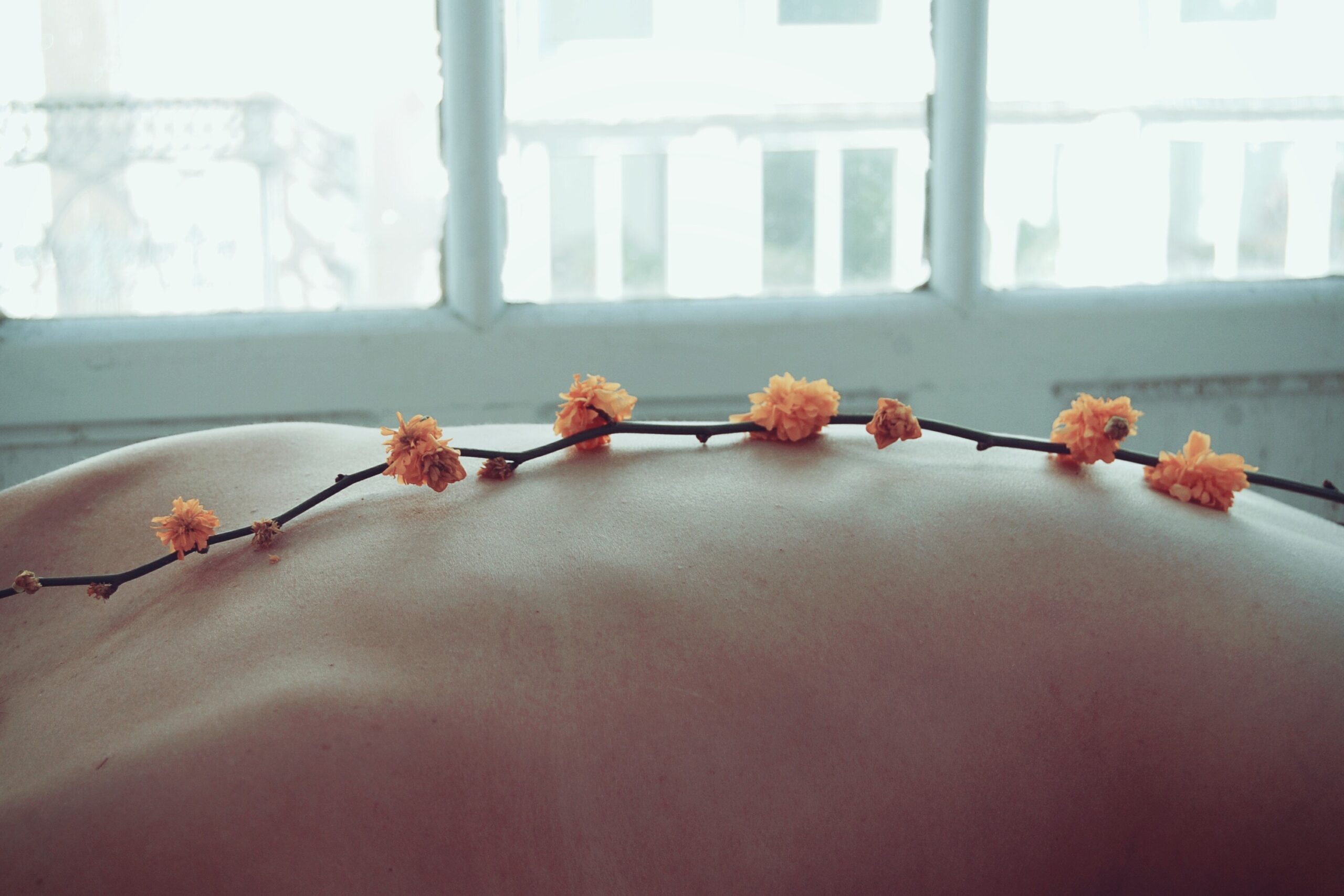 Photograph of a flowering twig lying on a person's bare back.